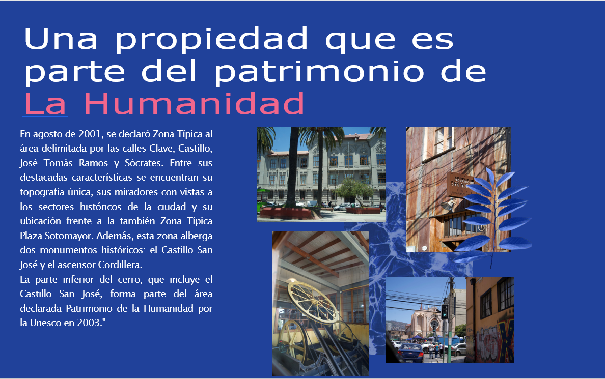 castillo6