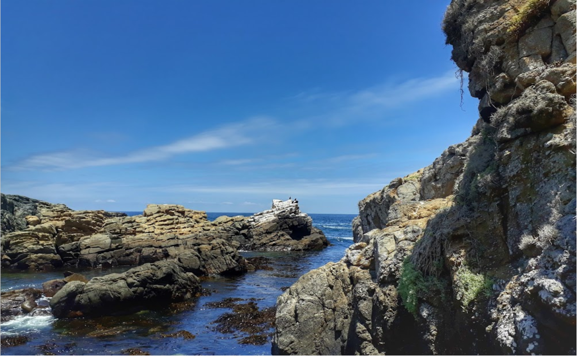 losvilos12