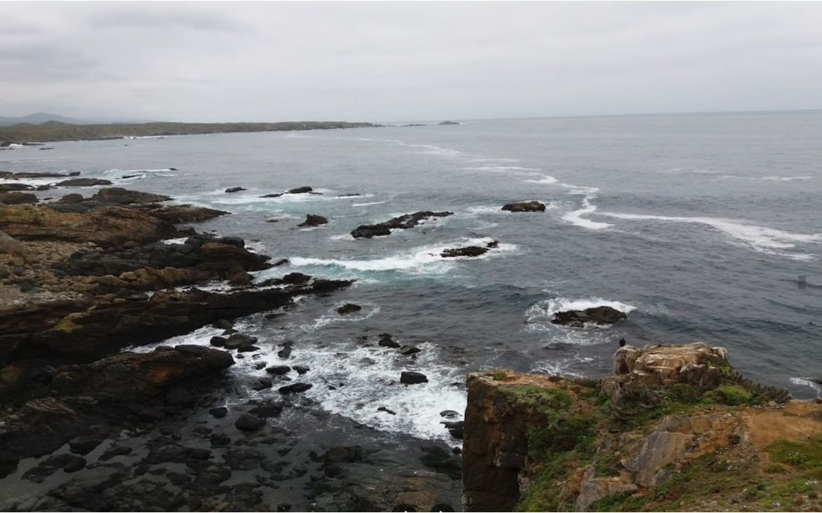 losvilos13